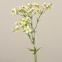 Konstgjord bukett med vaxblommor HEKLA, krämgrön, 30cm, Ø2-2,5cm