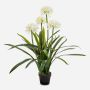 Stor konstgjord växt Agapanthus LESEDA i dekorativ kruka, vit, 105cm