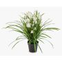 Konstgjord blomma, Cymbidium-orkidé JANILA i dekorativ kruka, vit, 85cm