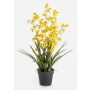 Konstblomma Oncidium-orkidé LAFILEA i dekorativ kruka, gul, 100cm