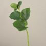 Konstgren med bronsblad GRACIANO, grön, 40cm