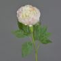 Konstblomma, pion SEDFY, kräm-ljusrosa, krämfärgad-blekrosa, 60cm, Ø10cm