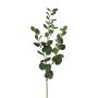 Dekorativ gren med eukalyptus JINVAL, grön, 80cm