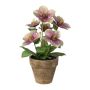 Dekorationsblomma julros ILLUME, dekorationskruka, lila-grön, 30cm