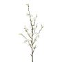 Dekorativ kvist med kvittenblommor SLORNE med blommor, vit, 85cm