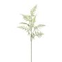 Konstgjord gren av Asparagus Plumosus PLAVIN, grön, 85cm