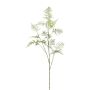 Konstgjord gren av Asparagus Plumosus PLAVIN, grön, 130cm