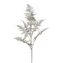 Konstgjord kvist Asparagus Plumosus BLORVI, antiksilver, 90cm