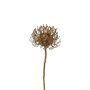 Dekorativ blomma, nålkudde Protea SONDYL, guld, 50cm