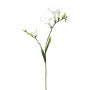 Dekorativ gren med freesia FONDYL, vit, 70cm