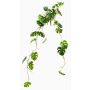 Konstgjord hängväxt, Philodendron monstera deliciosa GRINTO, på stödpinne, 80cm