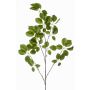 Dekorativ kvist Schefflera KRUVEN, grön, 120cm