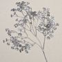 Konstgjord slöjblomma MARLIESE, silver, 65cm, Ø1-1,5cm
