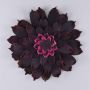 Kamelia-blomma av skumplast STEINKA, mörka cerise, Ø40cm