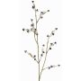 Konstgjord kvist av Stirlingia latifolia COLLAN, svart-vit, 75cm, Ø1cm