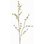 Konstgjord kvist av Stirlingia latifolia COLLAN, gulgrön, 75cm, Ø1cm