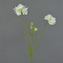 Konstgjord kvist av Scabiosa ANDIA, vit, 80cm, Ø8-10cm