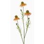 Konstgjord solhattgren CELIO, aprikos, 70cm, Ø6-7cm