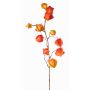 Konstgjord physalis-gren PERSEI med frukter, orange, 80cm