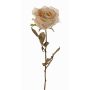 Konstgjord ros NAJMA, torkad look, krämrosa, 65cm, Ø10cm