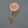 Konstgjord ros NAJMA, torkad look, gammaldagsrosa, antikrosa, 65cm, Ø10cm