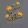Konstgjord rosgren SITARA, torkad look, orange-gul, 75cm, Ø5-8cm