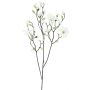 Dekorativ gren Magnolia NELKA, vit, 125cm