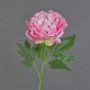 Dekorativ blomma, pion CORDOBA, rosa, 60cm, Ø16cm