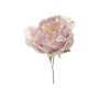 Konstblomma, pion CLONDY, mauve, 25cm