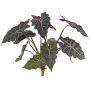 Konstgjord Alocasia Sanderiana AINARA, grön-vit, 60cm