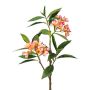 Dekorativ gren Frangipani DRIFEN, gul-rosa, 110cm