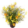 Dekorationsblomma flitiga Lisa GISINDA i dekorativ kruka, gul-orange, 25cm