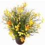 Dekorationsblomma flitiga Lisa GISINDA i dekorativ kruka, gul-orange, 25cm
