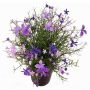 Dekorationsblomma flitiga Lisa GISINDA i dekorativ kruka, lila-lila, 25cm