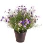 Dekorationsblomma Impatiens GISINDA i dekorativ kruka, lila-lila, 40cm