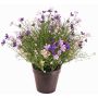 Dekorationsblomma Impatiens GISINDA i dekorativ kruka, lila-lila, 40cm