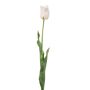 Konstgjord tulpan SIDRA, vit-blekrosa, 65cm