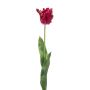 Dekorativ papegojatulpan LUNIA, cerise, 70cm