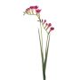 Konstgjord fresiagren SVERINA, cerise, 80cm