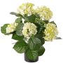 Konstblomma hortensia TEMARI, krämgrön, 40cm, Ø10-12cm