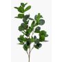 Konstgjord gren Ficus Panda BANDE, grön, 90cm