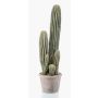 Konstkaktus San Pedro DACON i dekorativ kruka, grön, 55cm