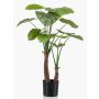 Plastväxt Alocasia Calidora XABIA, grön, 110cm