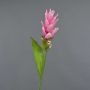 Konstblomma: Kurkuma LAROUCO, rosa, 75cm, Ø8cm