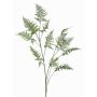 Konstgjord gren av Asparagus Plumosus FAYNA, 135cm