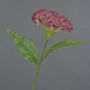 Konstgjord blomma Hahnenkamm ANUBIS, cerise, 60cm, Ø14cm