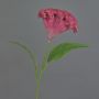 Konstgjord blomma Hahnenkamm ANUBIS, violett, 60cm, Ø14cm