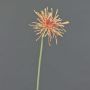 Konstgjord krysantemum SUSUMU, persikorosa, 60cm, Ø14cm