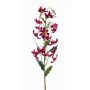 Konstblomma tigerlilja ARAMAIO, vinröd, 80cm, Ø13cm