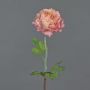 Konstgjord ranunkel ELORIO, rosa-krämfärgad, 50cm, Ø10cm